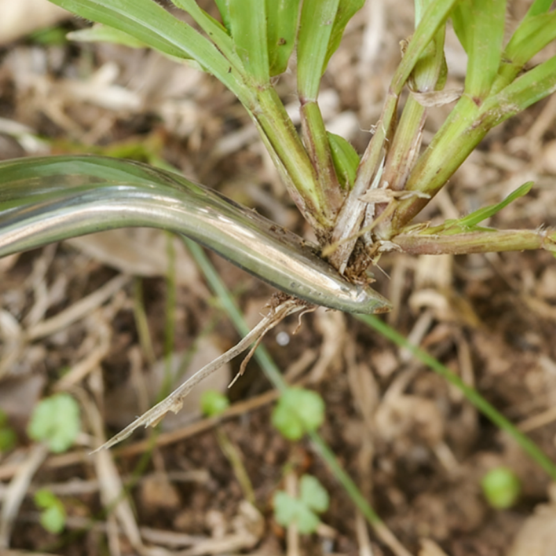 6 Piece Garden Tools Set